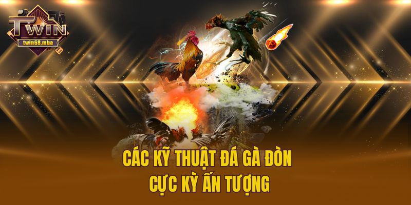 Các kỹ thuật đá gà đòn cực kỳ ấn tượng