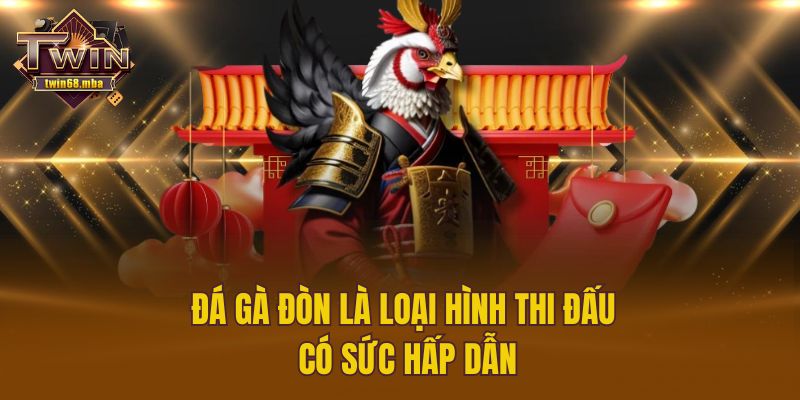 Đá gà đòn là loại hình thi đấu có sức hấp dẫn