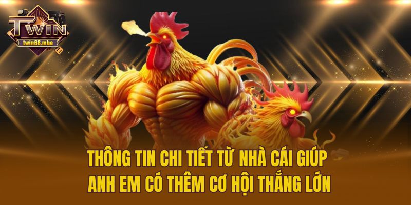 Thông tin chi tiết từ nhà cái giúp anh em có thêm cơ hội thắng lớn