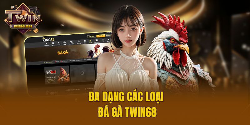 Đa dạng các loại đá gà Twin68
