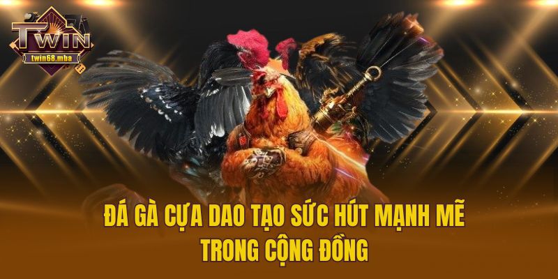 Đá gà cựa dao tạo sức hút mạnh mẽ trong cộng đồng