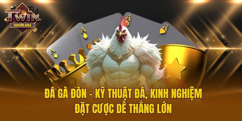Đá Gà Đòn – Kỹ Thuật Đá, Kinh Nghiệm Đặt Cược Dễ Thắng Lớn