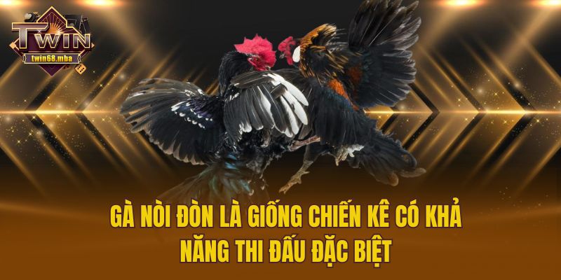 Gà nòi đòn là giống chiến kê có khả năng thi đấu đặc biệt
