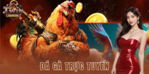 Đá gà trực tuyến Twin68