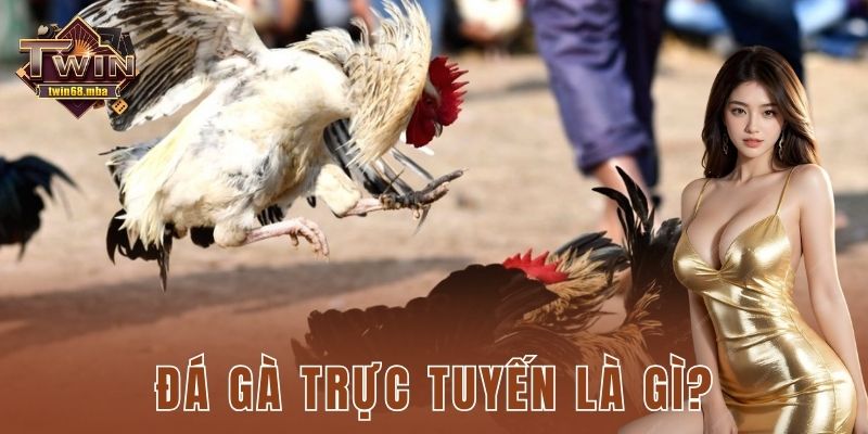 Đá gà trực tuyến là gì?