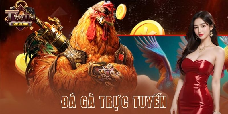 Đá gà trực tuyến – Sân chơi cá cược đá gà sôi động kịch trần