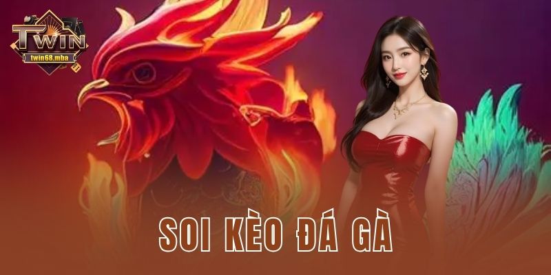 Bí quyết soi kèo đá gà chuẩn xác cho anh em cá cược